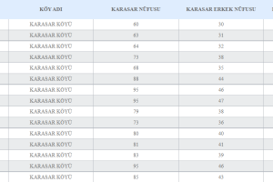 Köyümüzün Yıllık Nüfus Bilgileri