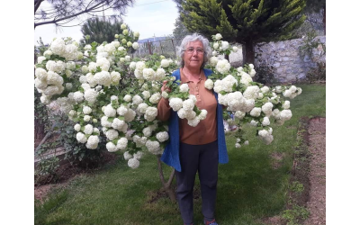 Himmet Ağagilin Mustafa Gençay'ın Eşi Fatma Gençay İzmir de Vefat Etmiştir...