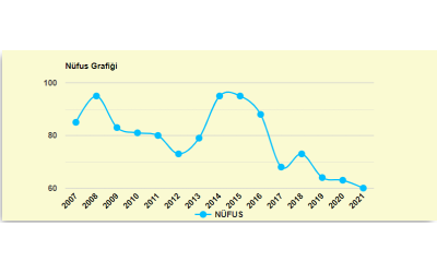 Köyümüzün Yıllık Nüfus Bilgileri