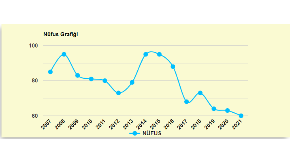 Köyümüzün Yıllık Nüfus Bilgileri